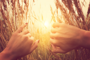 Kuidas ma emotsioonidetulvast armastuseni jõudsin.