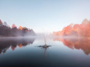 Peidetud emotsioonid – miks nende teadvustamine oluline on?