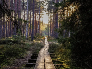 Marit Mesipuu: Mis on Rännak?